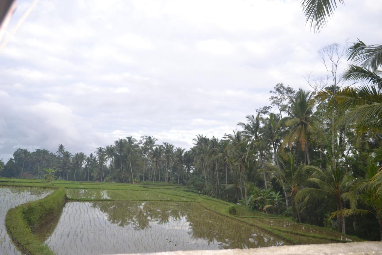 Buda Cottage Ubud Exterior photo